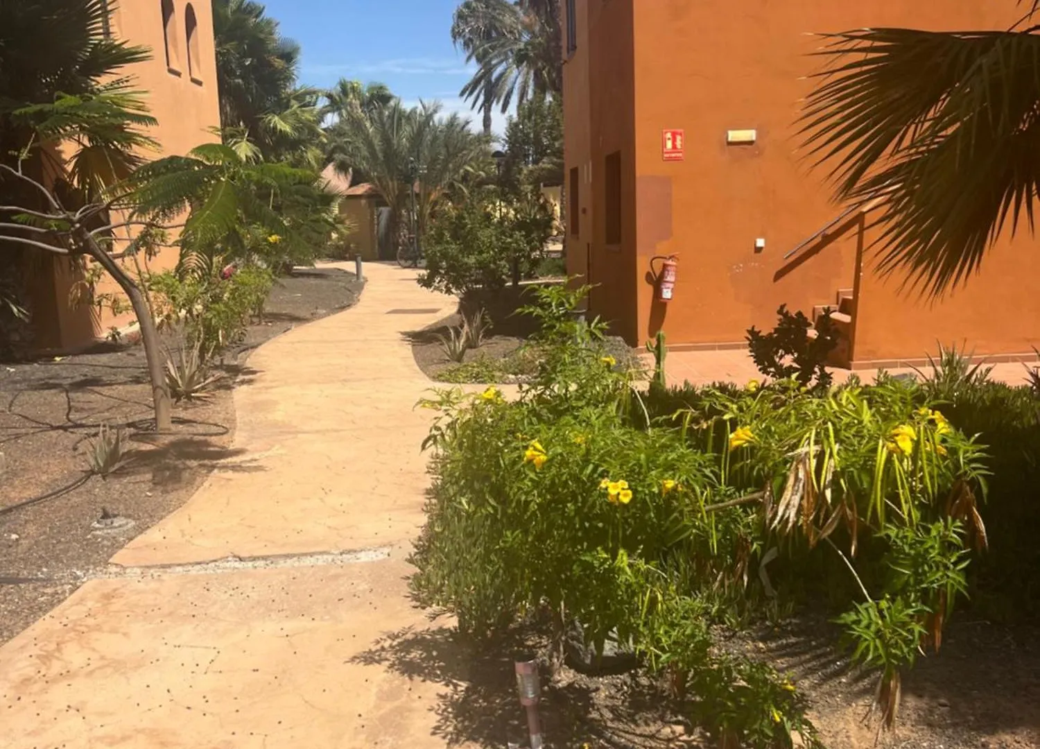 Paraiso Del Mar Corralejo Apartamento